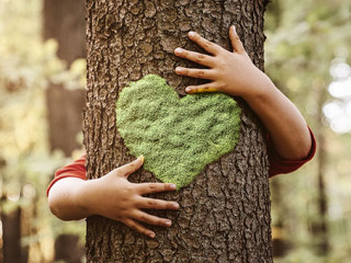 Herz-Baum-352139863-AS-rangizzz