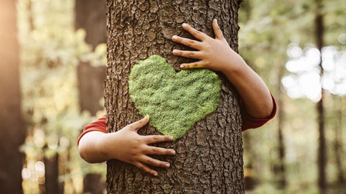 Herz-Baum-352139863-AS-rangizzz