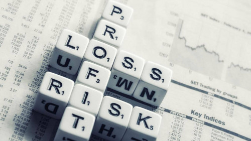 Profit-Loss-Risk-2656028-PB-AbsolutVision