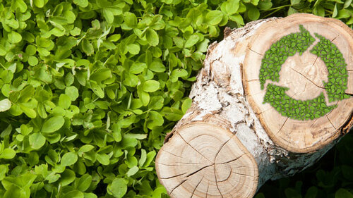 tree stump on the grass with recycle symbol, top view