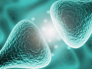 Nervenzellen-220036897-AS-BillionPhotos-com