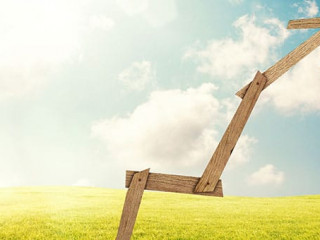 Pfeil-Holz-Wiese-110759343-FO-alphaspirit