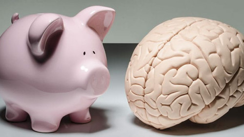 Sparschwein-Gehirn-99299413-FO-David-Crockett