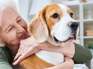 Seniorin-Hund-201912339-AS-Seventyfour