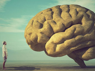 Conceptual image of a large stone in the shape of the human brai