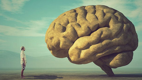 Conceptual image of a large stone in the shape of the human brai