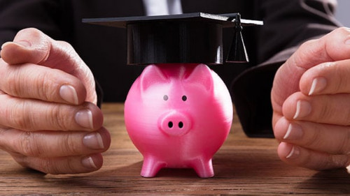 Businessperson's Hand Protecting Pink Piggybank