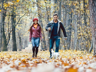 Young couple walking with their dog in a colorful autumn forest