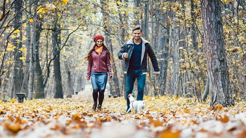 Young couple walking with their dog in a colorful autumn forest