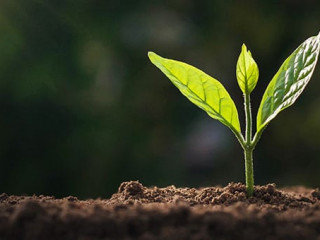 Junger-Trieb-253061342-AS-lovelyday12