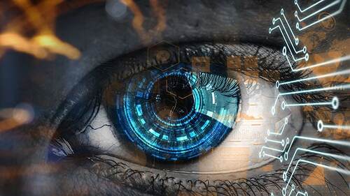 Auge-Leiterbahnen-288997350-AS-Sergey-Nivens