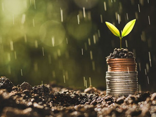 Muenzstapel-Trieb-Regen-306528354-AS-994yellow