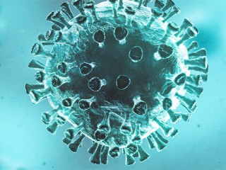 Virus-330360946-AS-alphaspirit