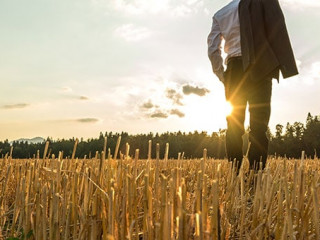 Anzugtraeger-in-Getreidefeld-232920729-AS-Gajus