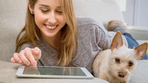 Frau-Tablet-Hund-843798-PB-PourquoiPas