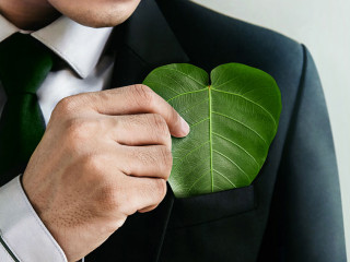 Green Energy, Renewable and Sustainable Resources. Environmental