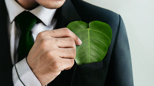 Green Energy, Renewable and Sustainable Resources. Environmental