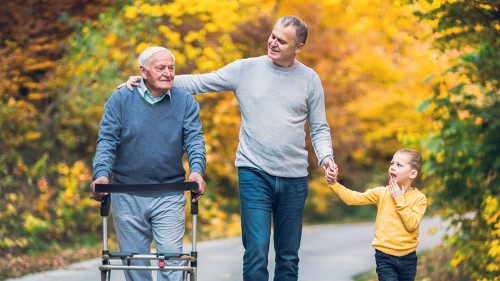 Elderly father adult son and grandson out for a walk in the park
