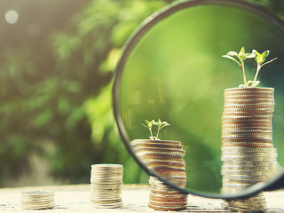 Hand holding magnifying glass with Money growing plant step with deposit coin. Bank and investment business concept.