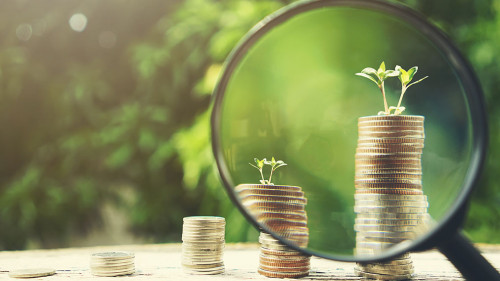 Hand holding magnifying glass with Money growing plant step with deposit coin. Bank and investment business concept.