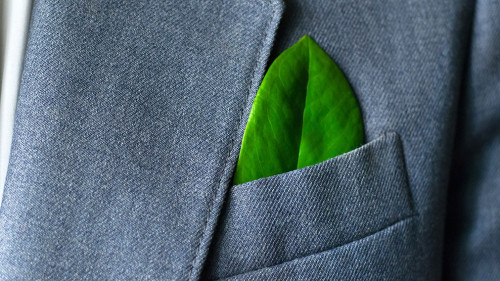 The businessman's photo in a suit with a leaf in a pocket