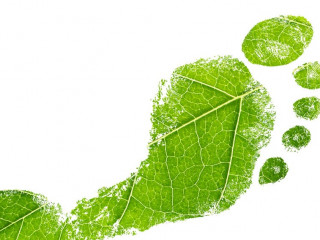 Green eco footprint. Leaf design.