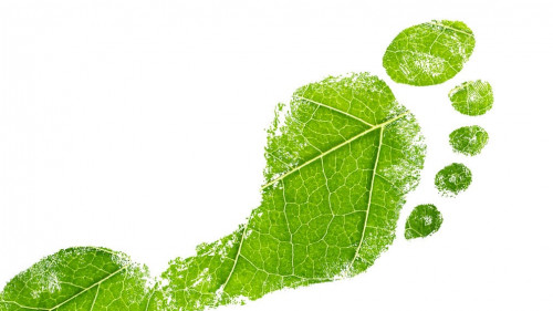 Green eco footprint. Leaf design.
