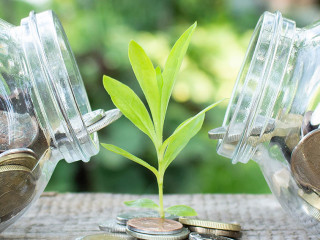 Plant growing from coins outside of two glass jars on blurred green natural background