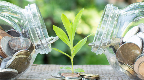 Plant growing from coins outside of two glass jars on blurred green natural background