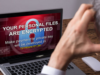 Looking At Laptop Screen Showing Personal Files Encrypted Text