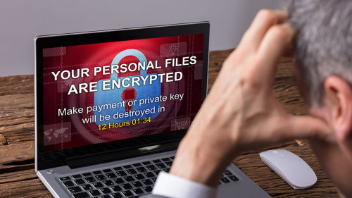 Looking At Laptop Screen Showing Personal Files Encrypted Text