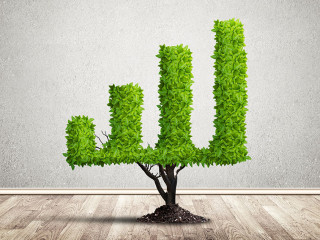 Right investment for getting income