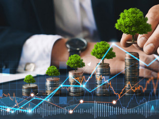 Eco business investment. Green business growth. Businessman hold