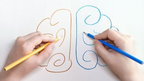 Ambidexter draws the brain with both hands. Equal mental develop
