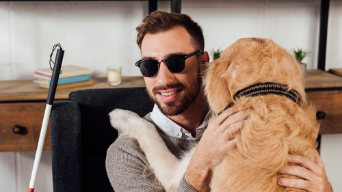 Smiling blind man sitting in armchair and hugging golden retriev
