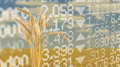 Diagram of rising food prices. Increase in the price of wheat se