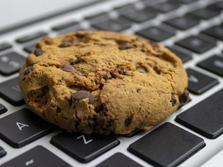 Cookie on the keyboard