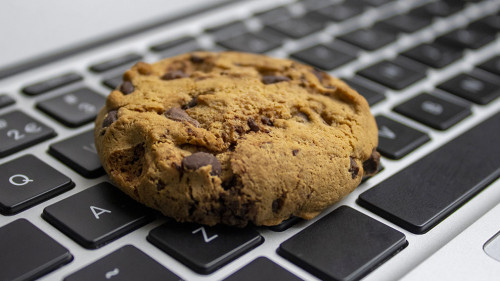 Cookie on the keyboard