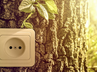 Green energy concept, power socket in tree trunk