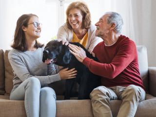 A senior couple with a teenage girl sitting on a sofa with dog at home.