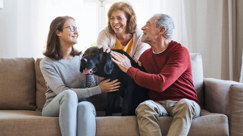 A senior couple with a teenage girl sitting on a sofa with dog at home.