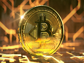 Bitcoin on a circuit board (3D Rendering)