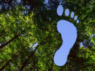 Carbon Footpint