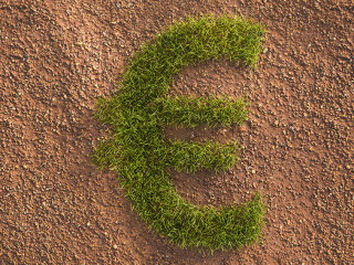 Green grass Euro sign in an arid landscape. Concept for corporate responsibility and ESG (environment social governance) standards in investing.