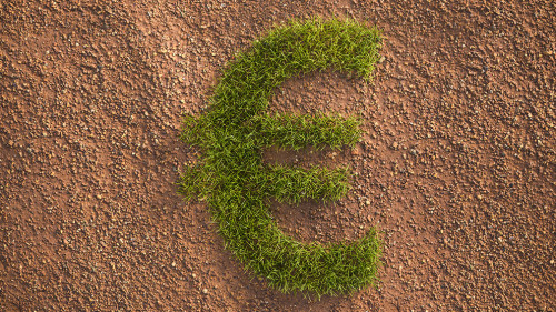 Green grass Euro sign in an arid landscape. Concept for corporate responsibility and ESG (environment social governance) standards in investing.