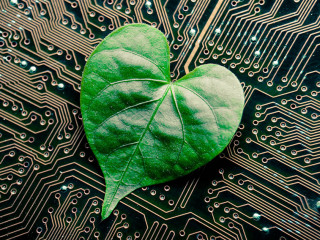 A green leaf with a heart shape on a computer circuit board / gr