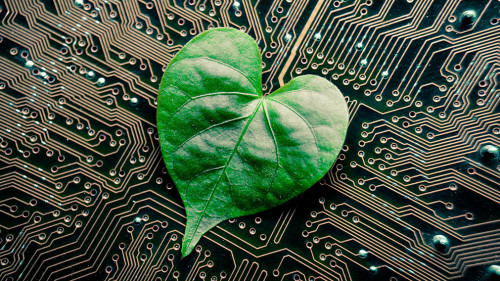 A green leaf with a heart shape on a computer circuit board / gr