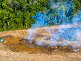 Aerial drone view of tropical rainforest deforestation to clear