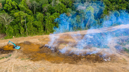 Aerial drone view of tropical rainforest deforestation to clear