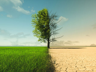 Climate change from drought to green growth